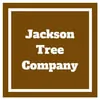 Jackson Tree