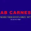 AB Carnes Roofing