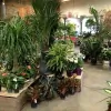 Rodamer's Landscaping