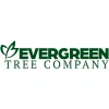 Ever Green Tree