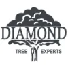 Diamond Tree Experts