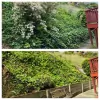 Creative Garden & Design