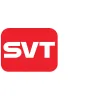 Security Video Technology