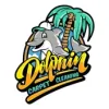 Dolphin Carpet Cleaning