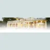 Fine Design Painting