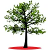 CAL Landscaping