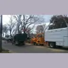 Frady Tree Care