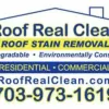 Roof Real Clean