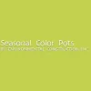 Seasonal Color Pots