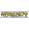 American Painting Professionals