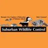 Suburban Wildlife Control