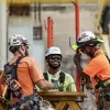 McCarthy Building Companies