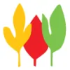 The Plant Kingdom