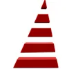Micro Technology Services