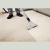 Langenwalter Carpet Care & Water Restoration
