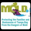 TampaBayMold.net