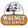 Walnut Tree Service