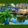 Nelson Water Gardens & Nursery