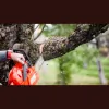 Fenimore Bros Tree Service