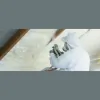 All Pro Insulation