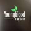 Youngblood Nursery