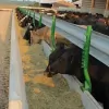 Iowa Concrete