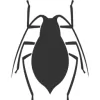 Cape Fear Termite & Pest Control