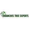 Branches Tree Experts