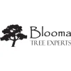 Blooma Tree Experts