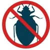 FL Bed Bug Experts