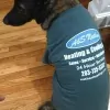 A & S Nathan Heating & Cooling