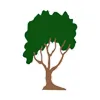 Stump Grinders Tree Service