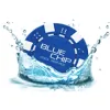 Blue Chip Pool Service