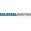 Celoseal Roofing