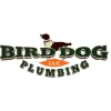 Birddog Plumbing