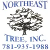 Northeast Tree