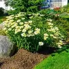 Gary's Gardening