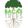 Baca's Trees