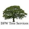 DFW Tree Services