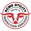 Acme Utility Inspection Services