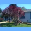 Jake's Landscape & Tree Services