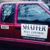Shaffer Pest Control