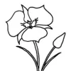 Xeriscape Design