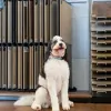 All About Flooring