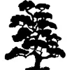 Patterson Nursery Sales