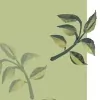 Elite Green Cleaning