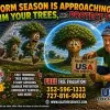 USA Tree Service