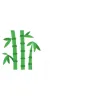 Bamboo Plants Online