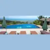 Swim Care Pool Services