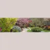Naturescape Designs